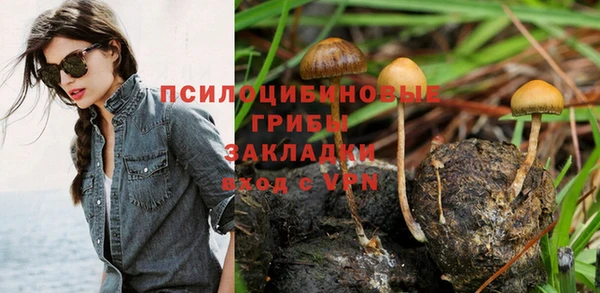 марки lsd Дмитриев