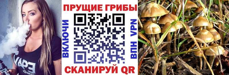Псилоцибиновые грибы Psilocybine cubensis площадка как зайти MEGA сайт Петров Вал хочу наркоту
